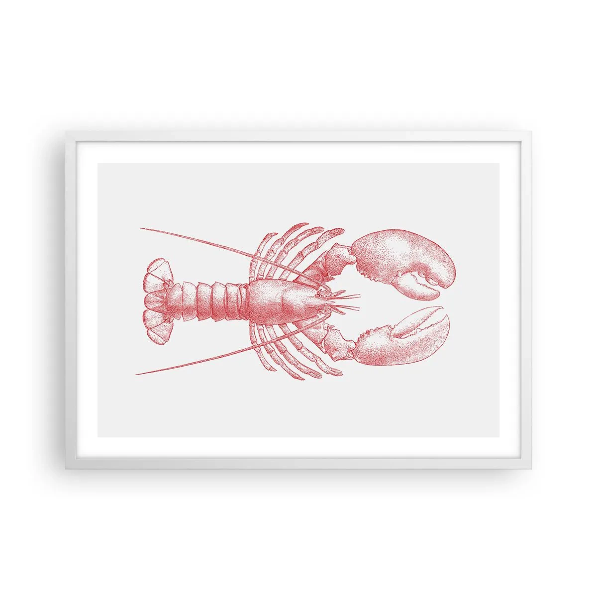 Poszter fekete keretben - Homéroszhoz méltó homár - 70x50 cm
