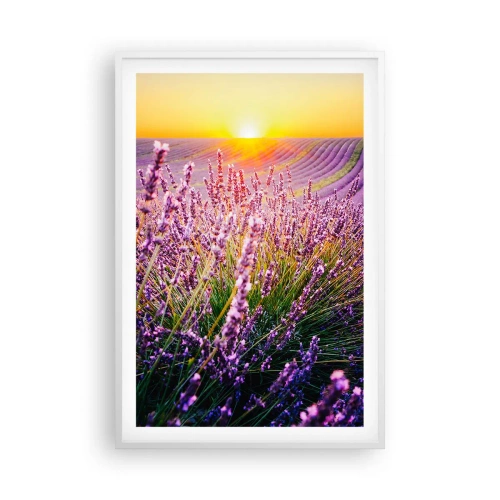 Poszter fekete keretben - Illatos szálak - 61x91 cm