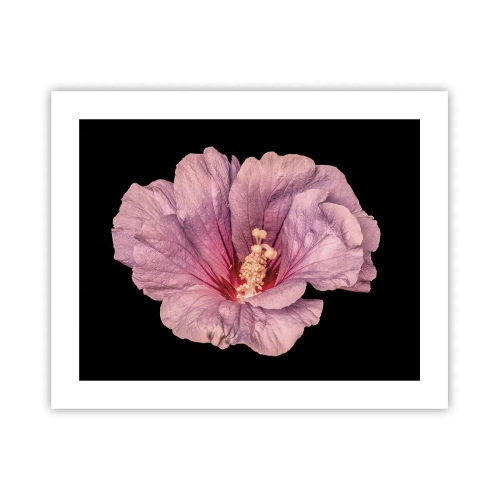 Poszter - Egyenesen a szív felé - 50x40 cm