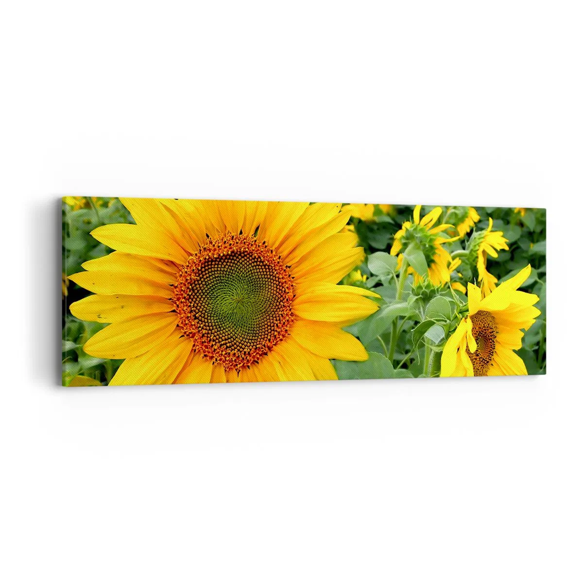 Vászonkép - Napok százai tűztek fel - 90x30 cm