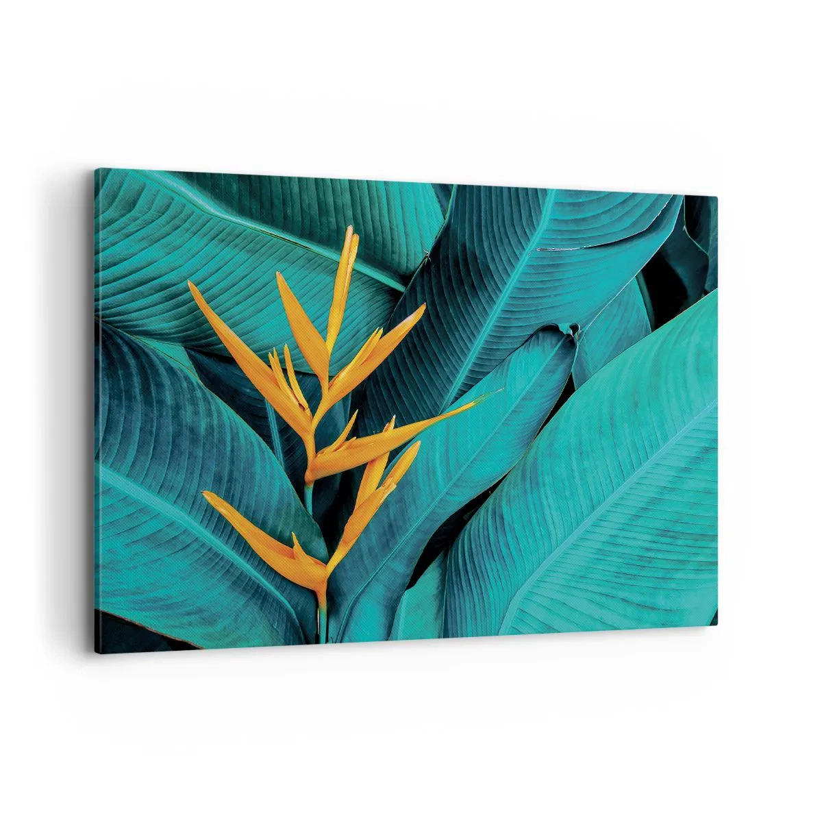 Vászonkép - Éden virága - 100x70 cm