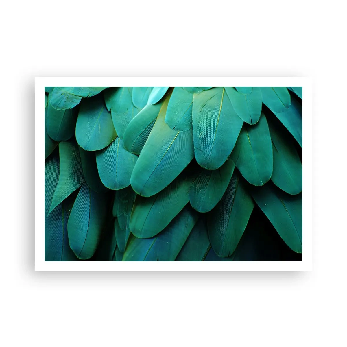 Poszter - A papagájtermészet precizitása - 100x70 cm