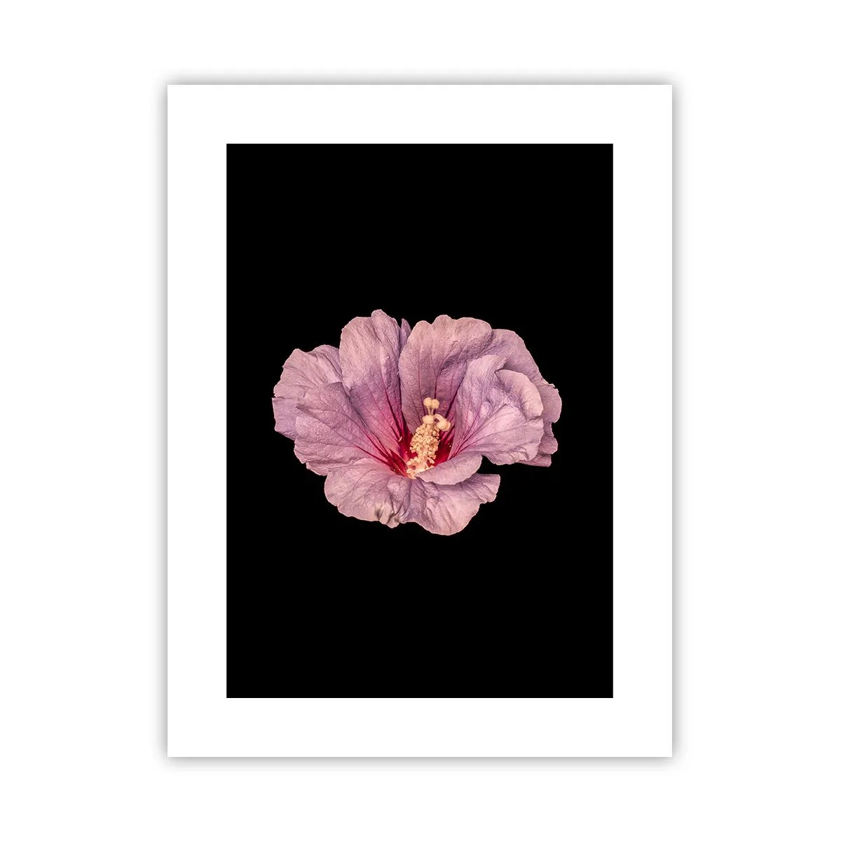 Poszter - Egyenesen a szív felé - 30x40 cm