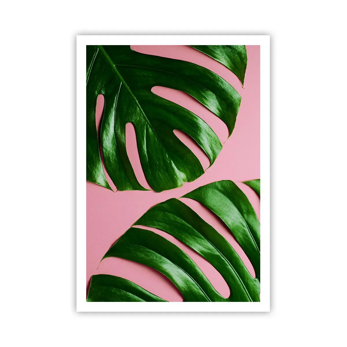 Poszter - Zöld rendez-vous - 70x100 cm
