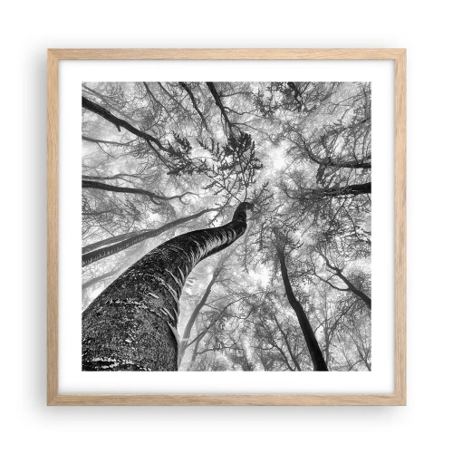 Poszter világos tölgy keretben - Verseny a fény felé - 50x50 cm