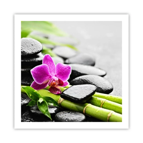 Poszter - Nyugodt egyensúlyban - 60x60 cm