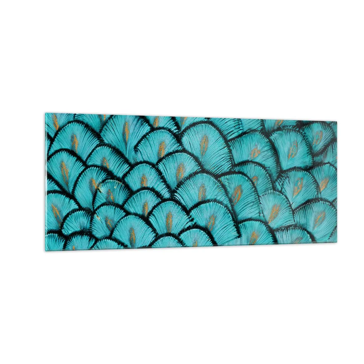 Üveg kép - A tollak nagy gálája - 100x40 cm