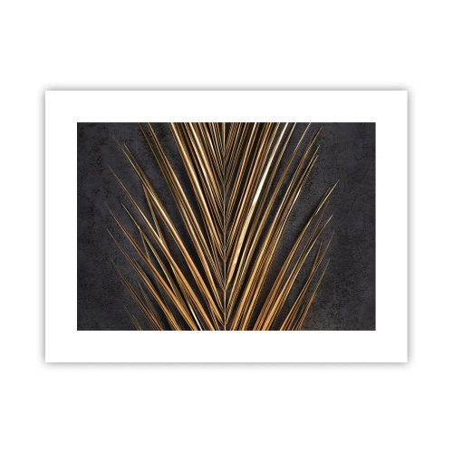 Poszter - A trópusok aranya - 40x30 cm