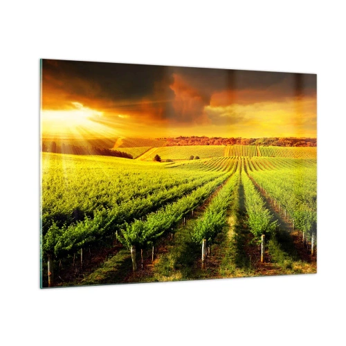 Üveg kép - Ausztrál nap alatt - 100x70 cm