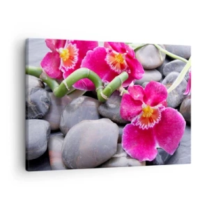 Vászonkép - Rózsaszín orchideák sima kövek hátterében - 70x50cm - Hideg és forró - Modern fali dekoráció nappalihoz és hálószobához ARTTOR