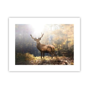 Poszter - Teljes fenségben - 40x30 cm