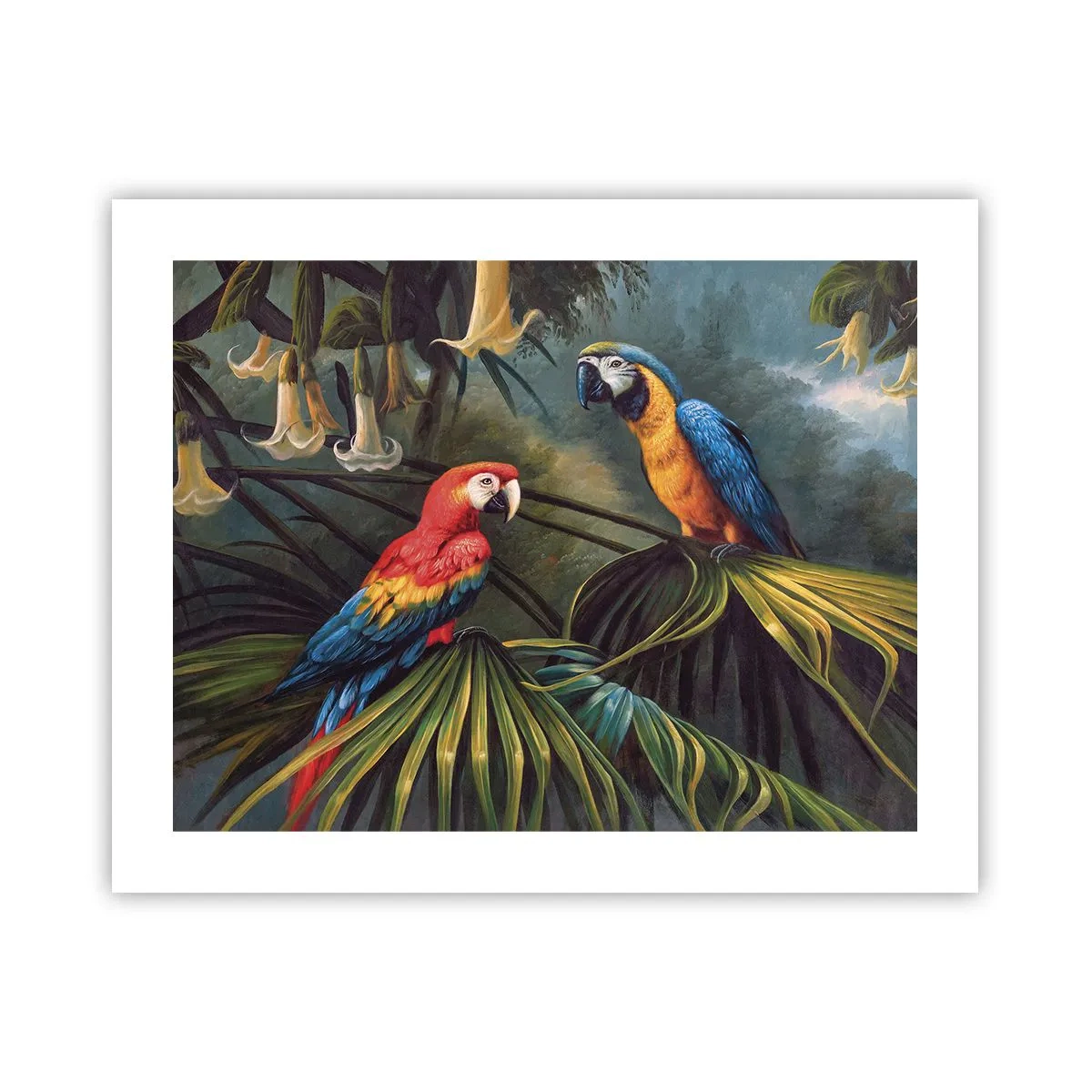 Poszter - Romantika a trópusokon - 50x40 cm