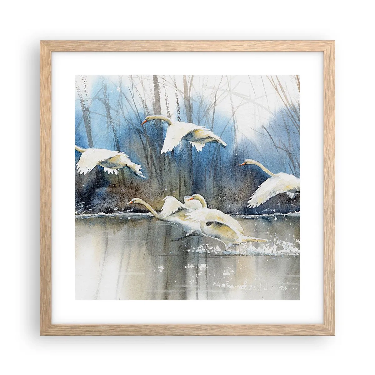 Poszter világos tölgy keretben - Mint a vadhattyúkról szóló mesében - 40x40 cm