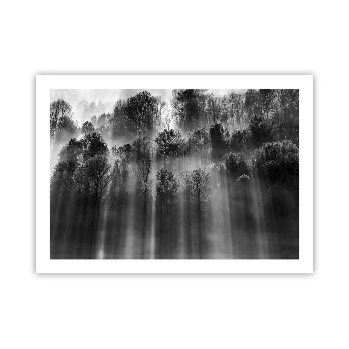 Poszter - Fénypatakokban - 70x50 cm