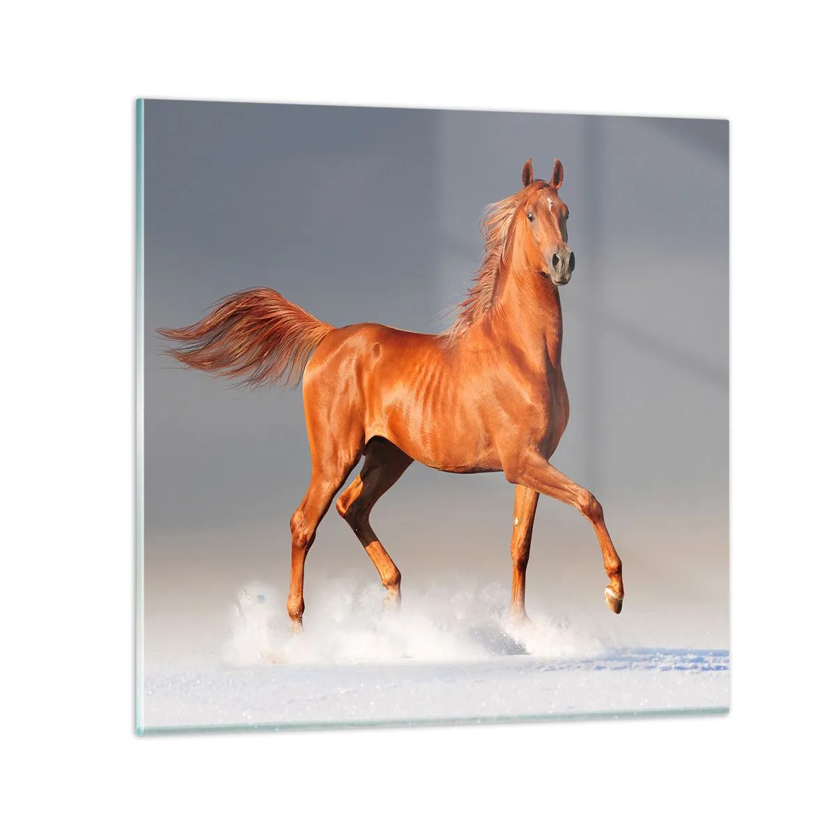 Üveg kép - Táncoló szépség - 70x70 cm