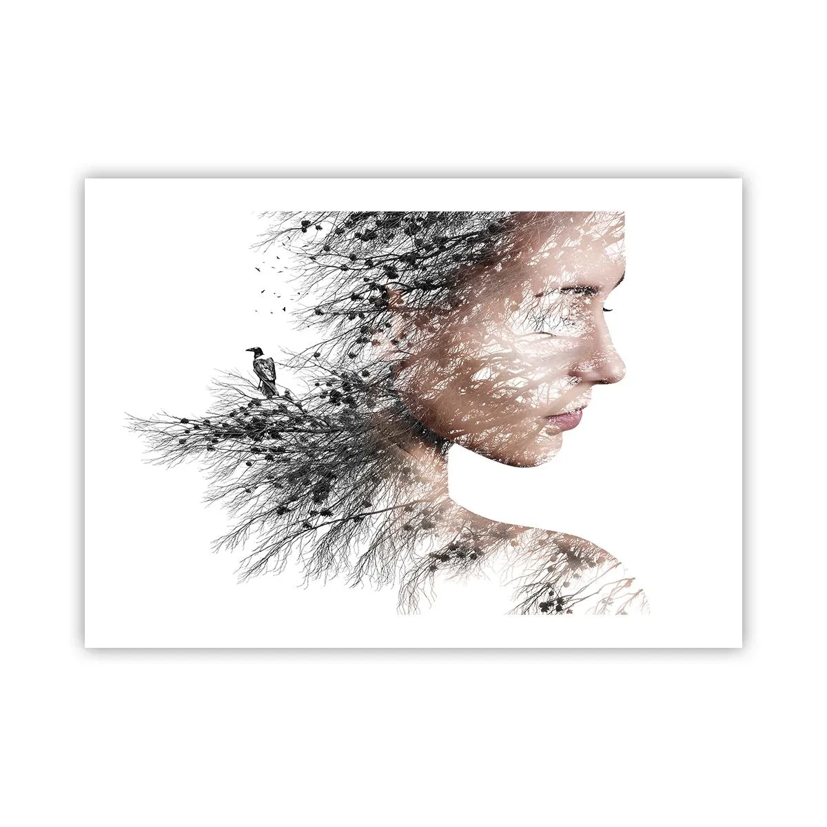 Poszter - Az erdő szelleme - 70x50 cm