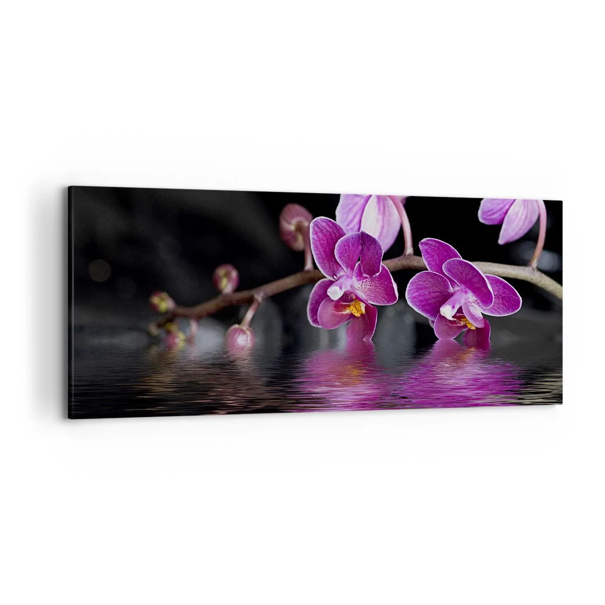 Vászonkép - Lila a szépség tükörképe - 120x50 cm