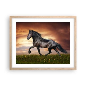 Poszter világos tölgy keretben - Fekete herceg - 50x40 cm