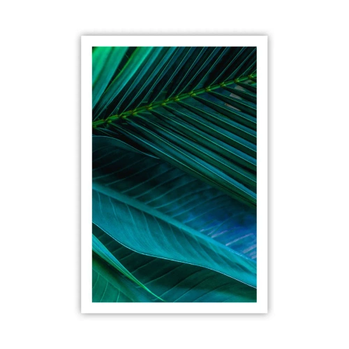 Poszter - A zöld anatómiája - 61x91 cm