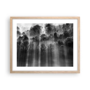 Poszter világos tölgy keretben - Fénypatakokban - 50x40 cm