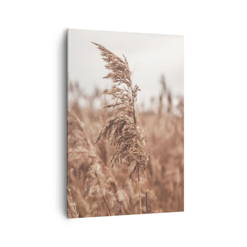 Vászonkép - Ősz van már a mezőkön - 70x100 cm