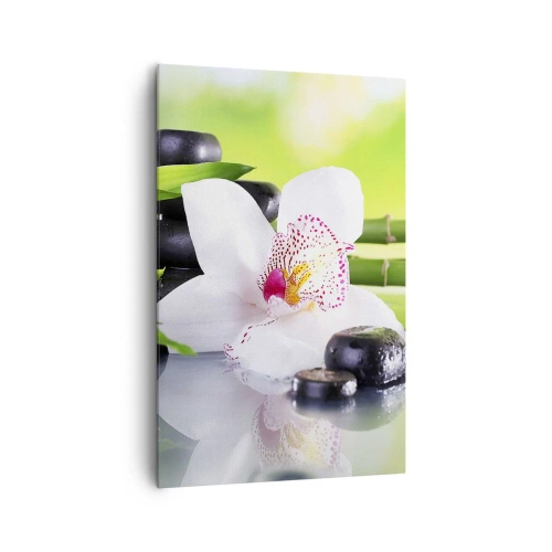 Vászonkép - Hűvös frissesség - 80x120 cm