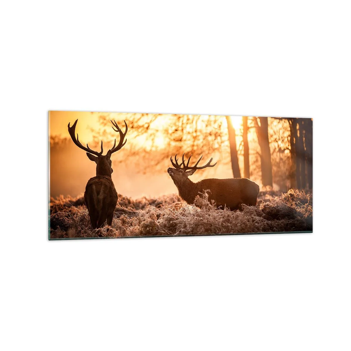 Üveg kép - Vadász álma - 120x50 cm