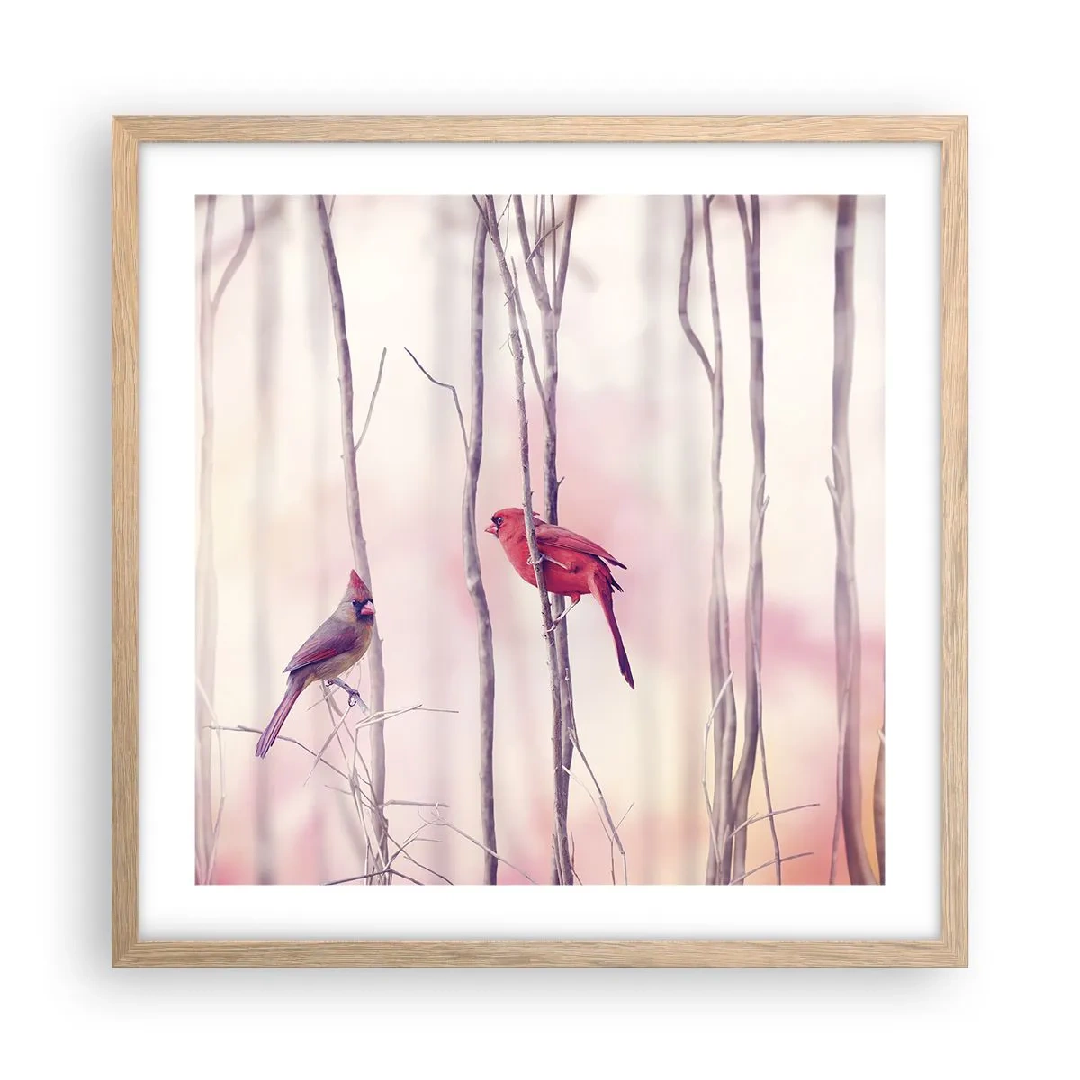 Poszter világos tölgy keretben - Rózsaszín erdő története - 50x50 cm