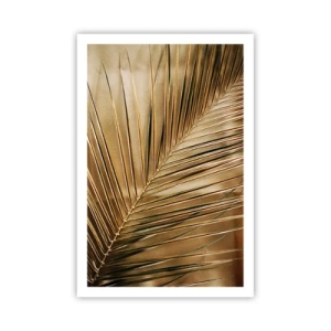 Poszter - Természetes oszlopsor - 61x91 cm