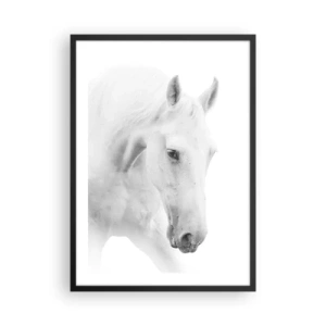 Poszter fehér keretben - Fehér ló portréja minimalista stílusban - 50x70cm - Ez a barátság...? - Modern fali dekoráció nappalihoz és hálószobához ARTTOR