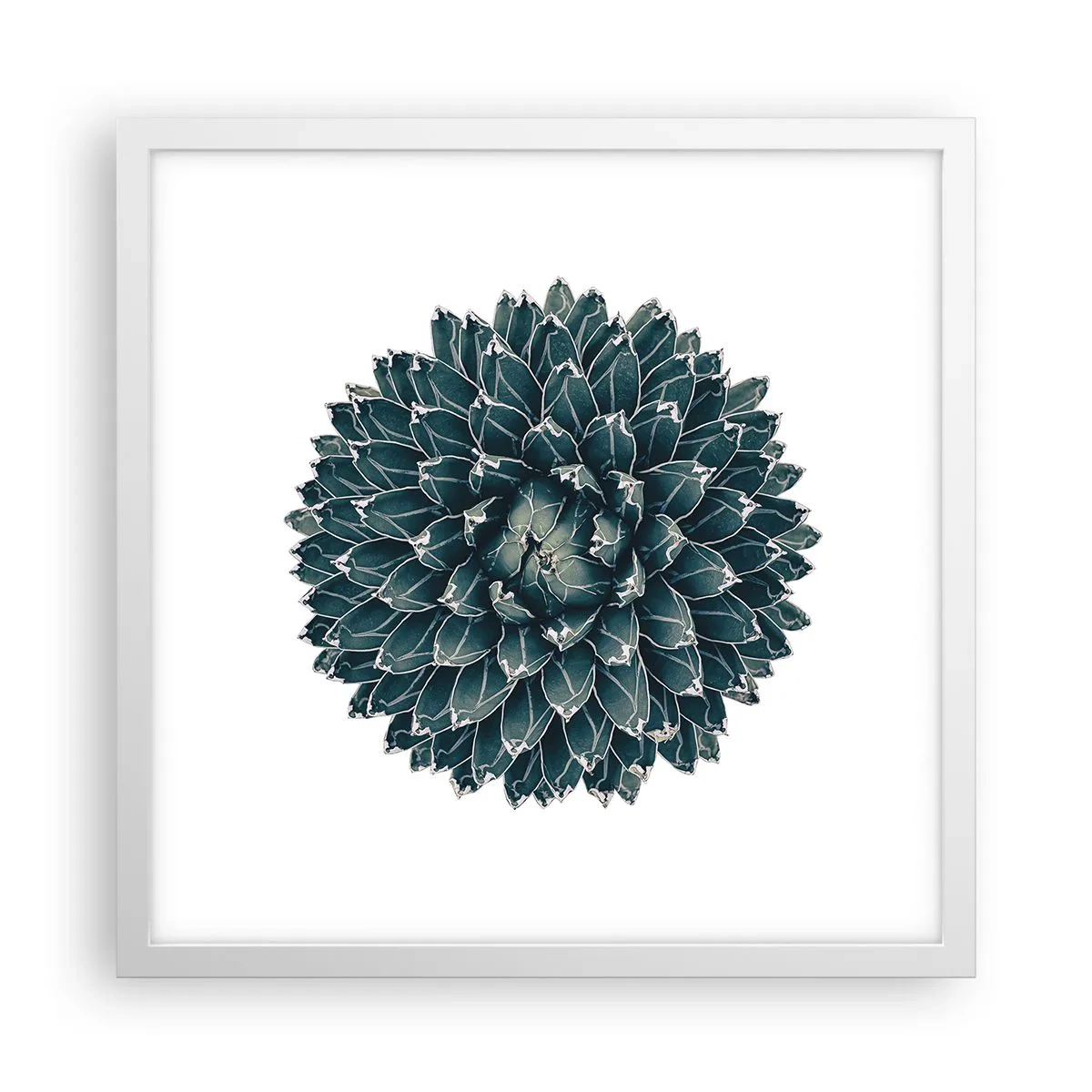 Poszter fekete keretben - A sivatag csillaga - 40x40 cm