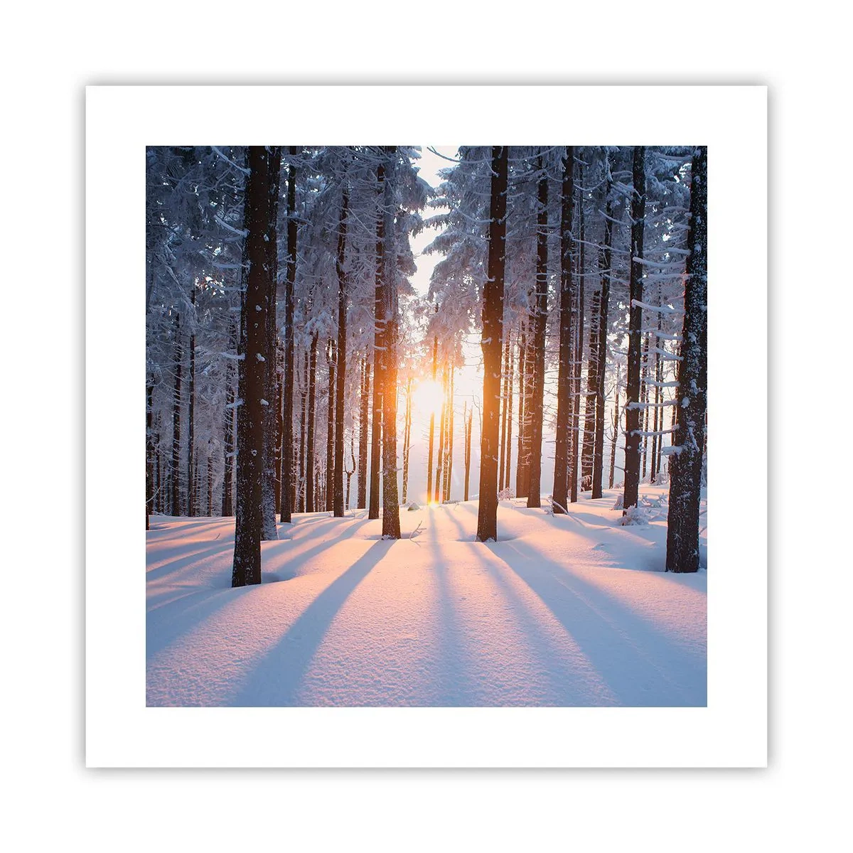 Poszter - Egyértelműen fekete-fehéren - 40x40 cm