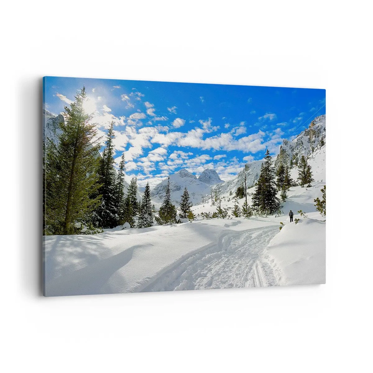 Vászonkép - A hóban és a napon - 100x70 cm