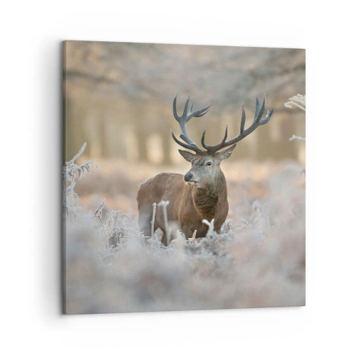 Vászonkép - Friss reggel - 50x50 cm