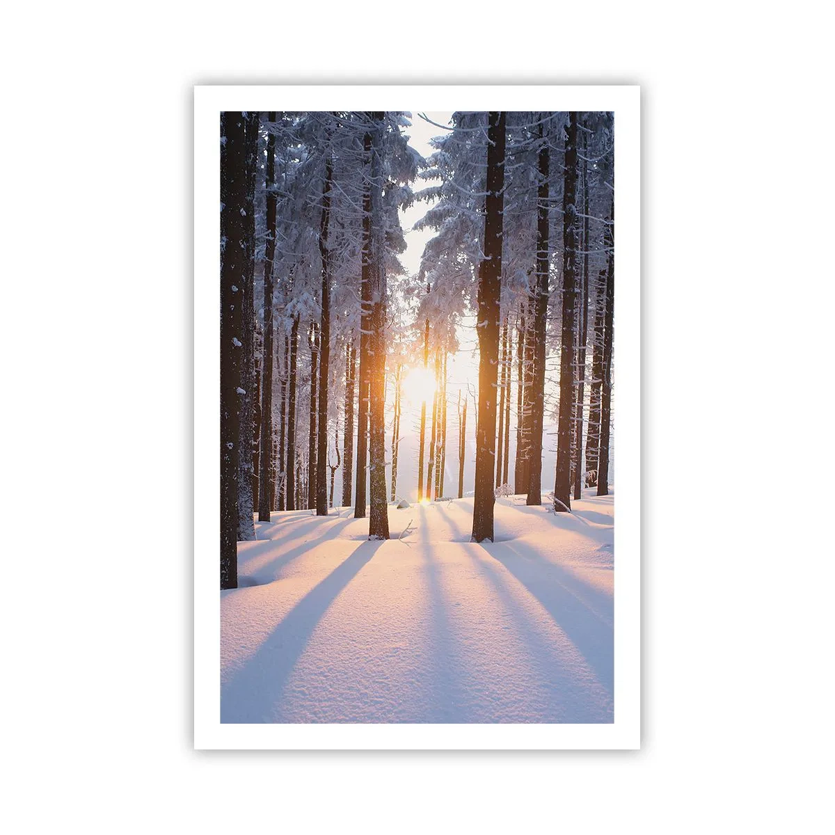 Poszter - Egyértelműen fekete-fehéren - 61x91 cm