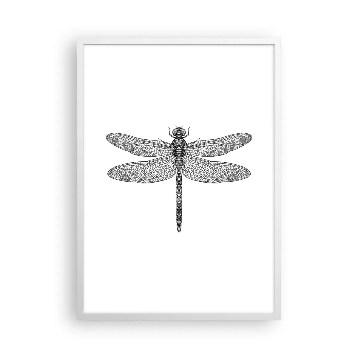 Poszter fekete keretben - A természet precizitása - 50x70 cm