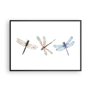 Poszter fehér keretben - Súlytalan szitakötők - 100x70 cm