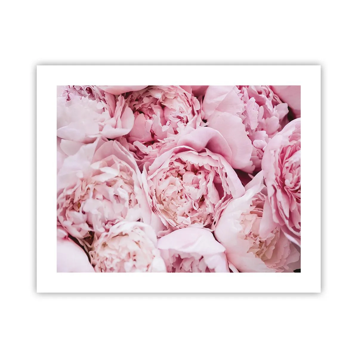 Poszter - Átölelve és illatos - 50x40 cm