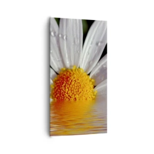 Vászonkép - A százszorszép felkelő napja - 65x120 cm