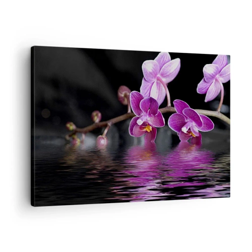 Vászonkép - Lila orchideák nyugodt víz felett fekete háttér előtt - 70x50cm - Lila a szépség tükörképe - Modern fali dekoráció nappalihoz és hálószobához ARTTOR