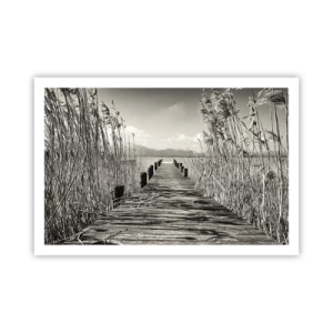 Poszter - A fű csendjében - 91x61 cm