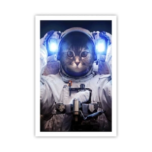 Poszter - Houston, baj van - 61x91 cm