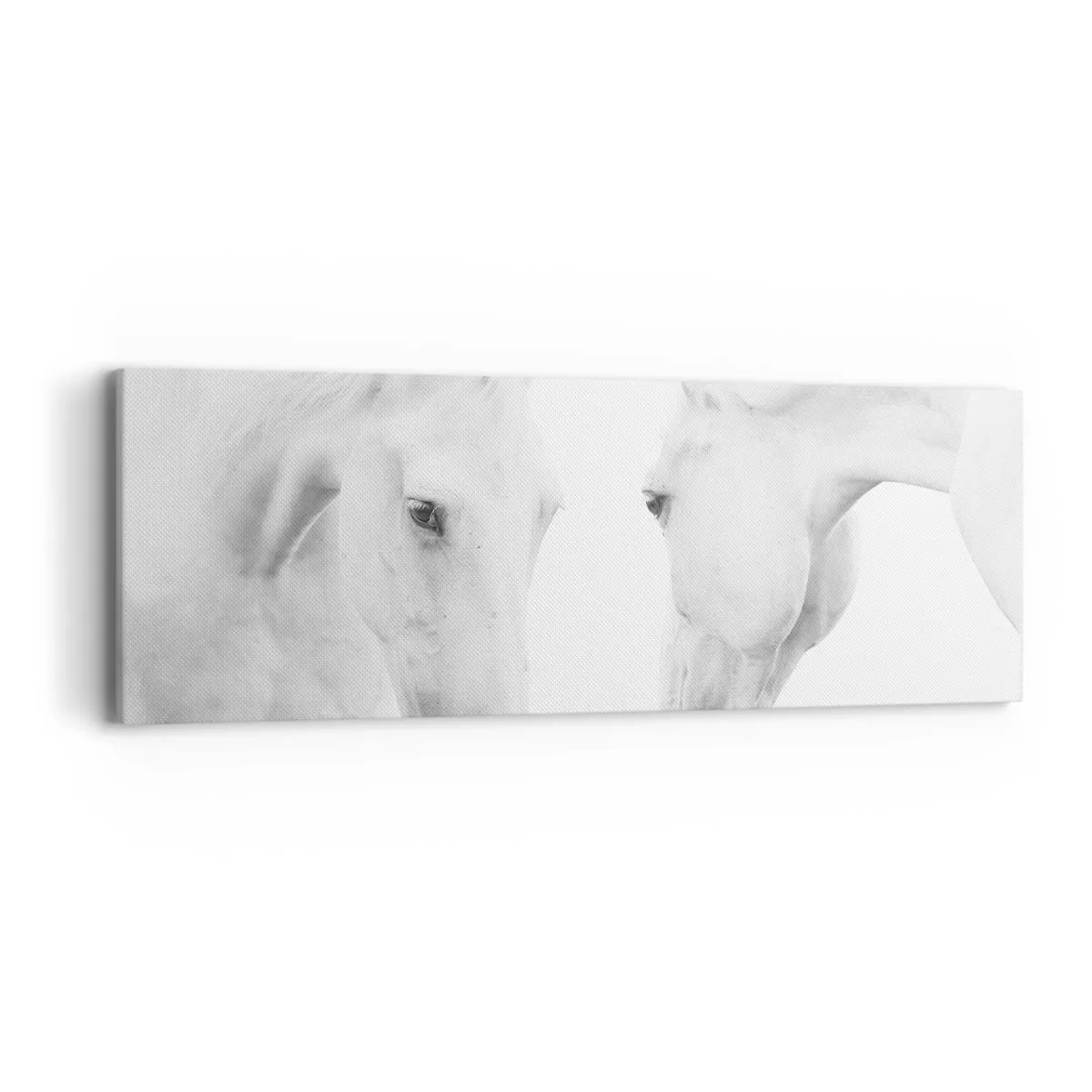 Vászonkép - Ez a barátság...? - 90x30 cm