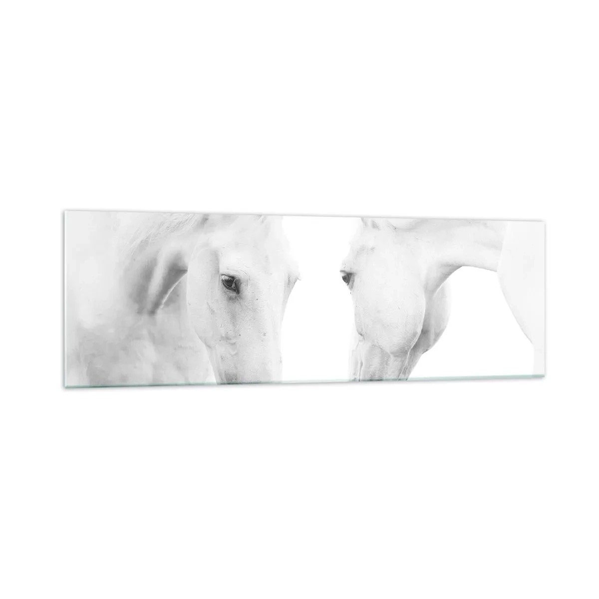 Üveg kép - Ez a barátság...? - 160x50 cm
