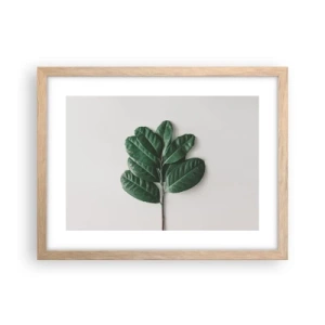 Poszter világos tölgy keretben - Rajz csak a természetről - 40x30 cm