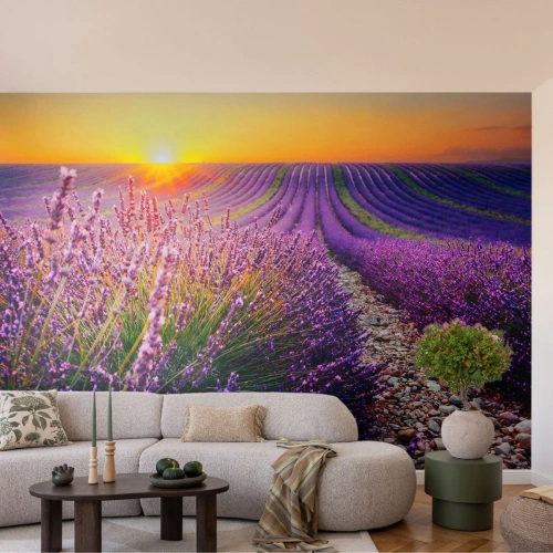 Fotótapéta Premium Sand - Illatos szálak - Tájkép, Levendula mező, Provence - 400x280 cm