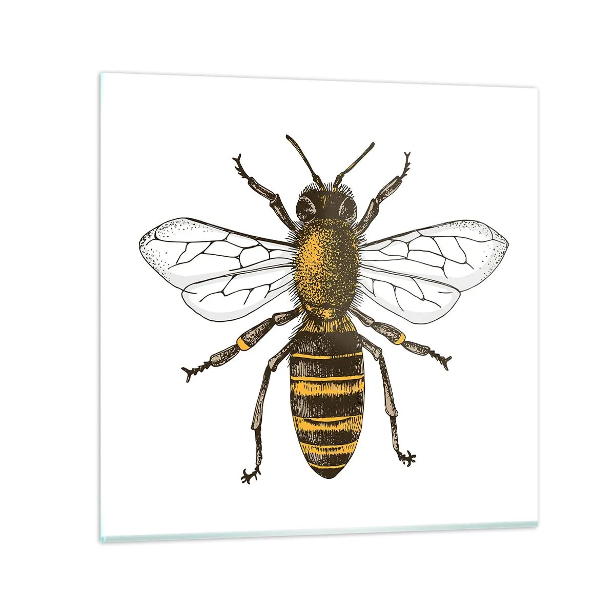 Üveg kép - Gyönyörű és jó - 50x50 cm