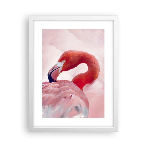 Poszter fekete keretben - Madári szépség - 30x40 cm