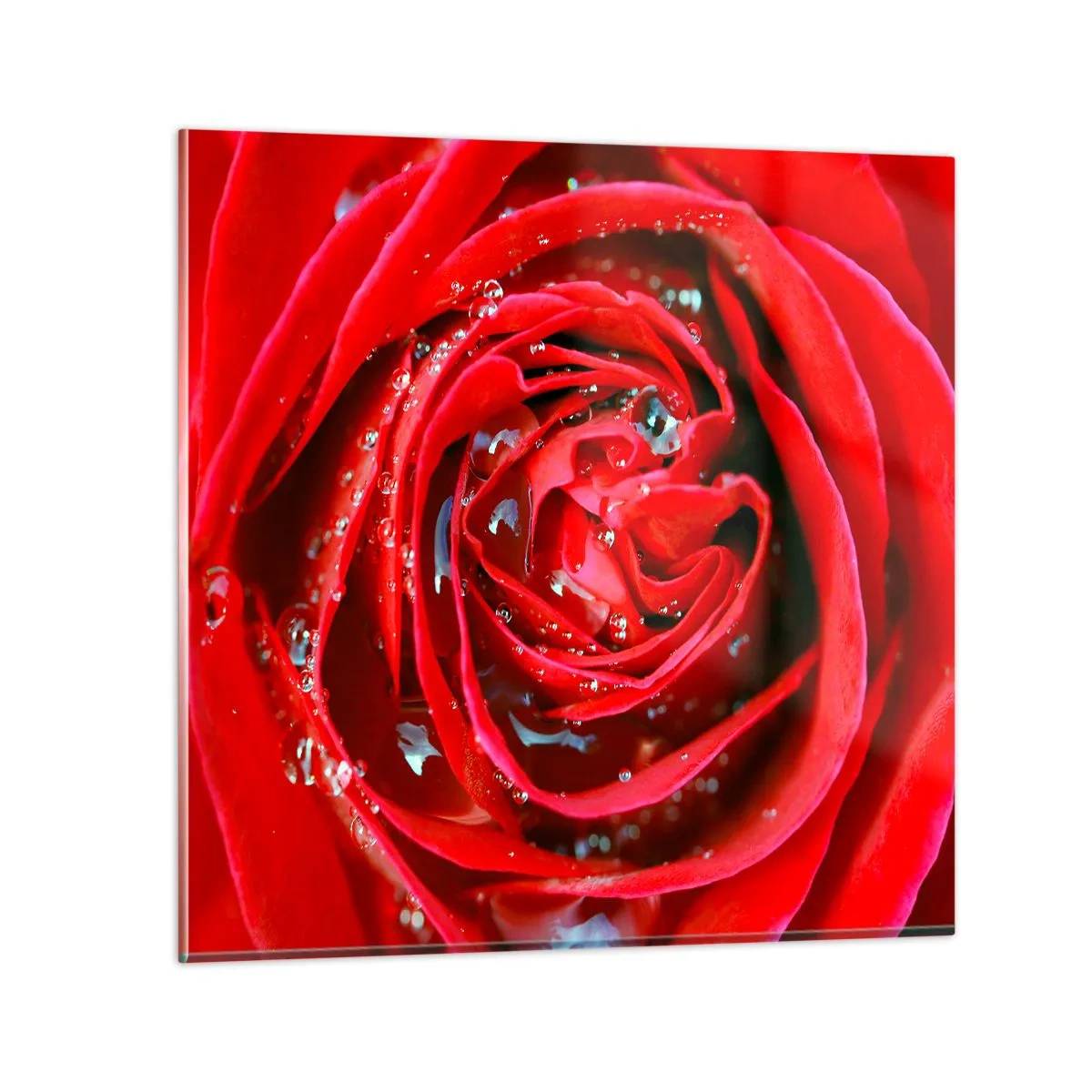Üveg kép - A harmatcseppekben - 40x40 cm