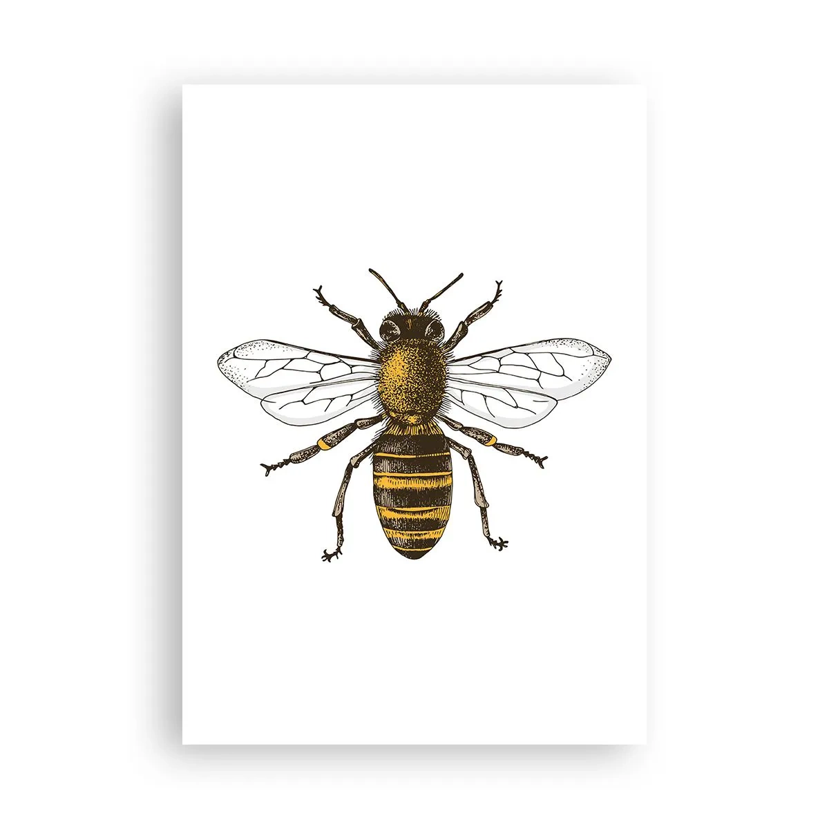 Poszter - Gyönyörű és jó - 70x100 cm